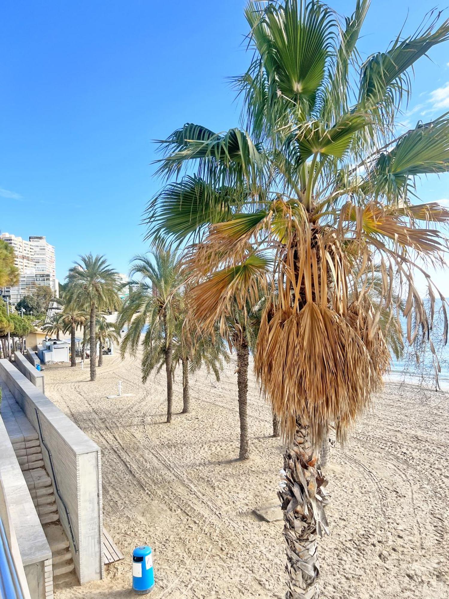 Apartamento A 100M De La Playa. 2 Hab. A/C Alicante Exterior foto
